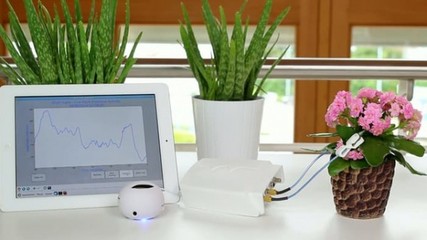 智能產(chǎn)品Phytl Sign:一款翻譯植物語(yǔ)的產(chǎn)品