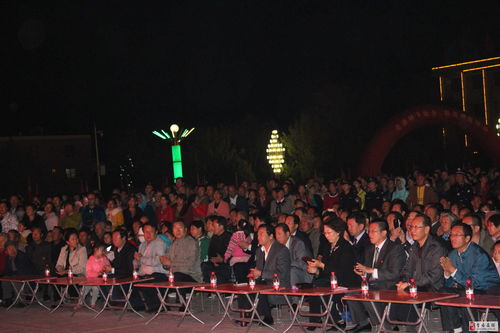 第六屆胡楊文化旅游節(jié)甘肅隴劇團精彩演出劇照