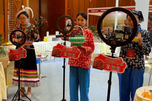 紅星觀察丨主播經紀首度納入行政監管，《網絡表演經紀機構管理辦法》征求意見稿解讀